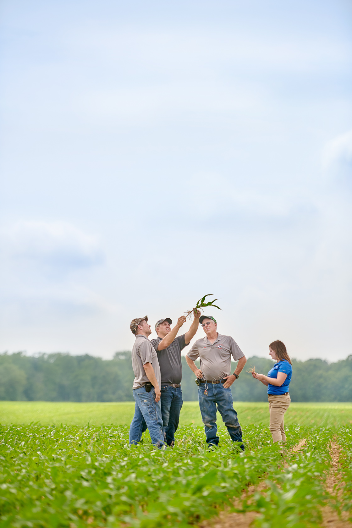 Wellacrest Crop Inspection | Editorial Photographer