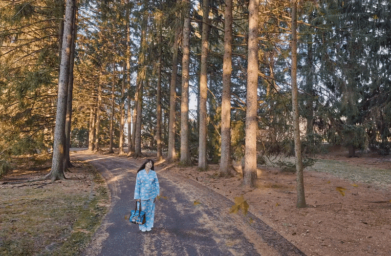 Ilene in the Woods | Commercial Photographer | Motion